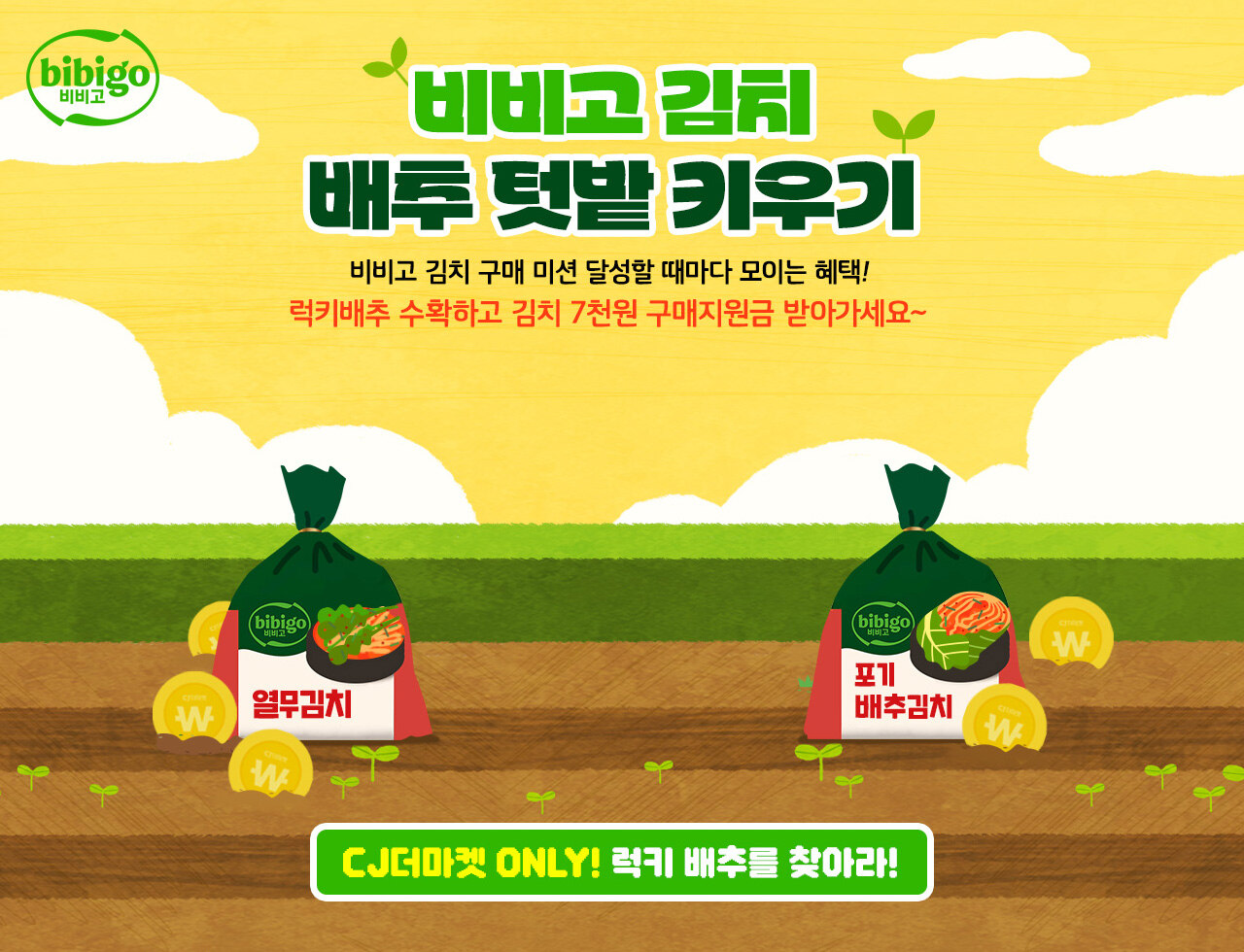 비비고 김치 배추 텃밭 키우기