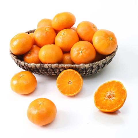 천혜향 2.5kg 중과 (10-12과 내외)