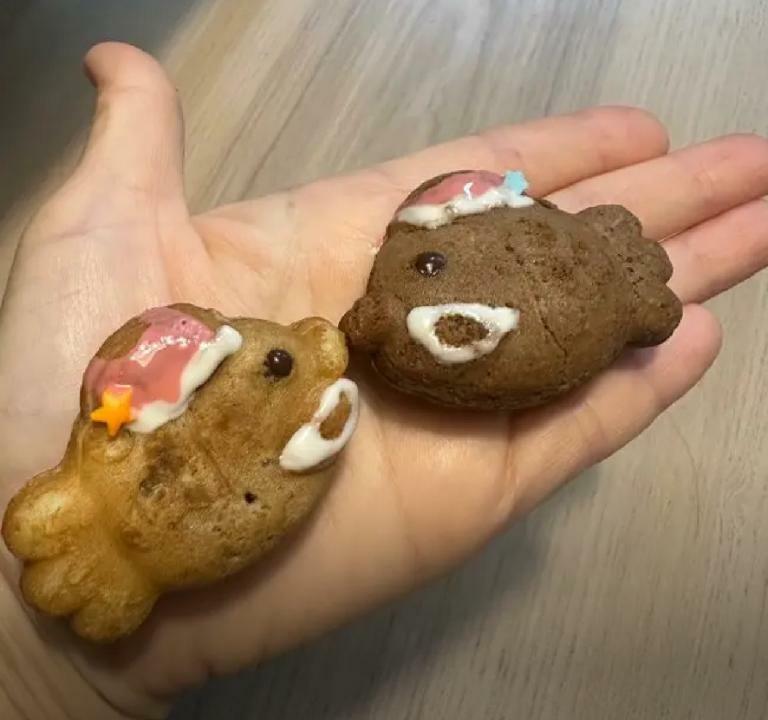 이미지