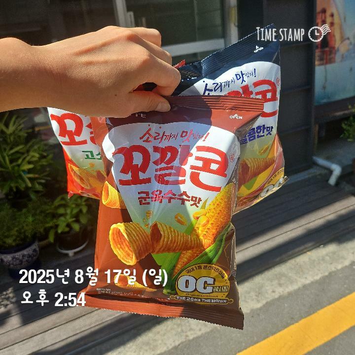 이미지