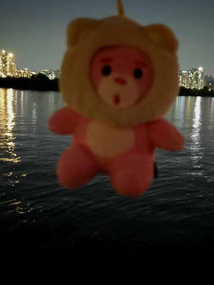 이미지