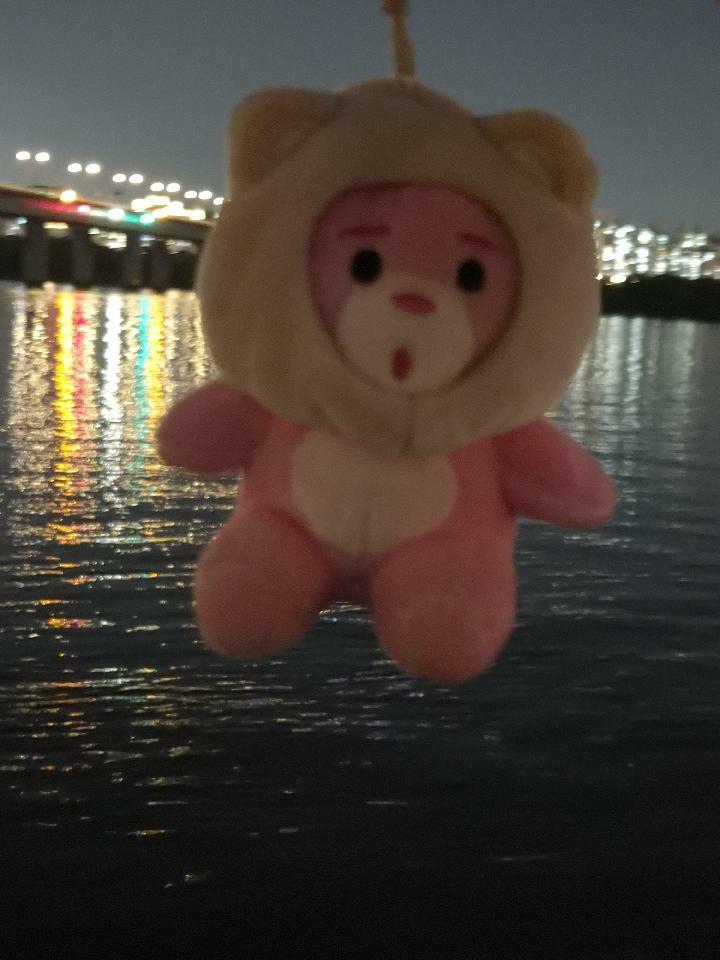 이미지
