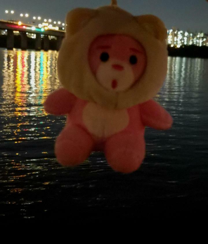 이미지