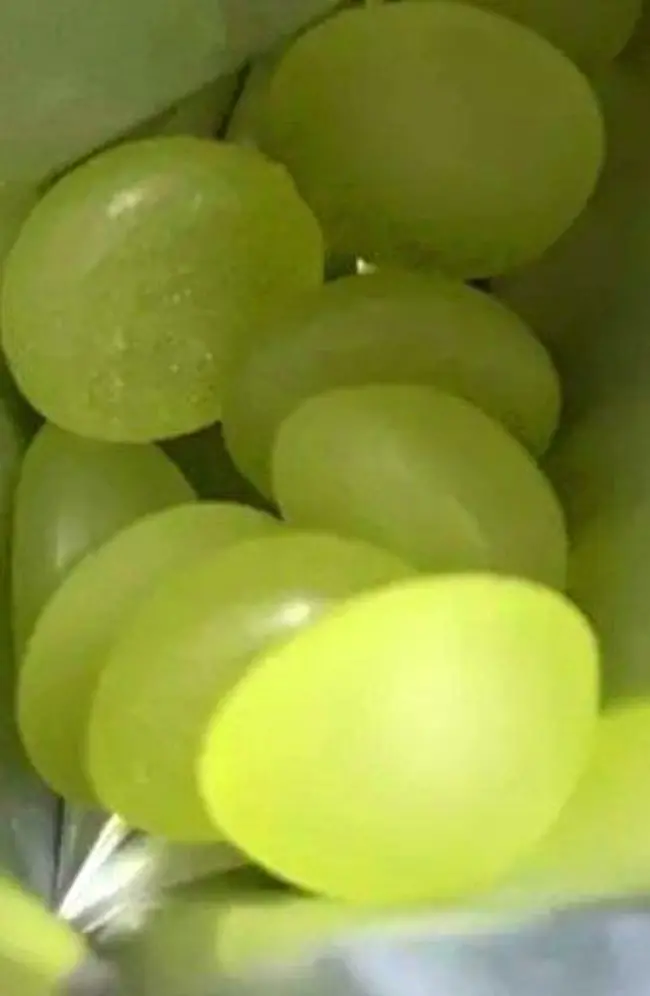 포토 리뷰 이미지