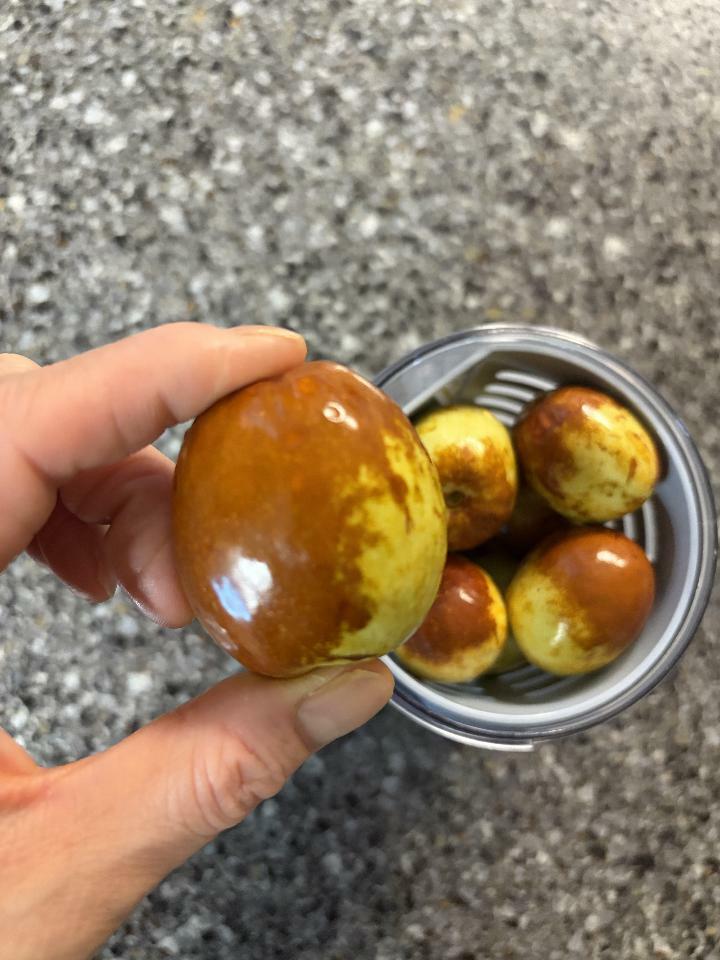 이미지