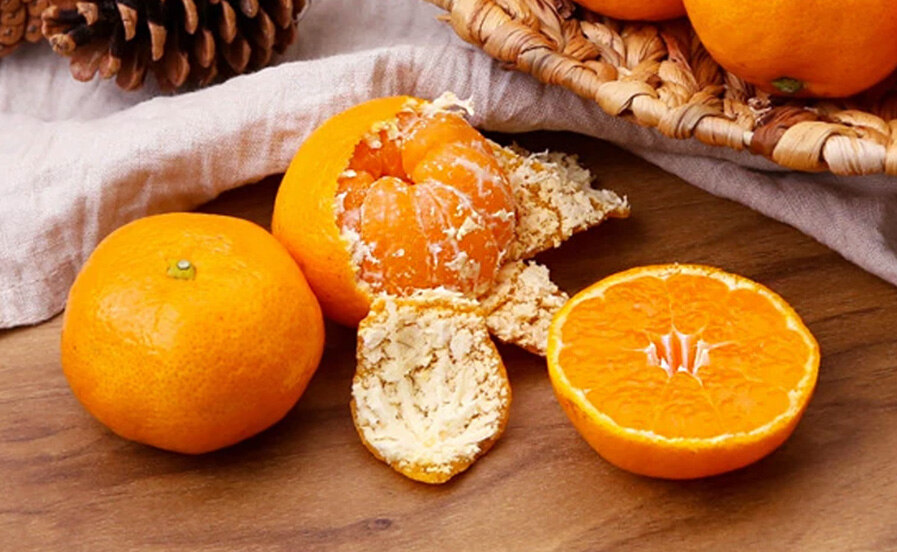 식품 브랜드북📖