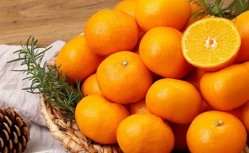 식품 브랜드북📖