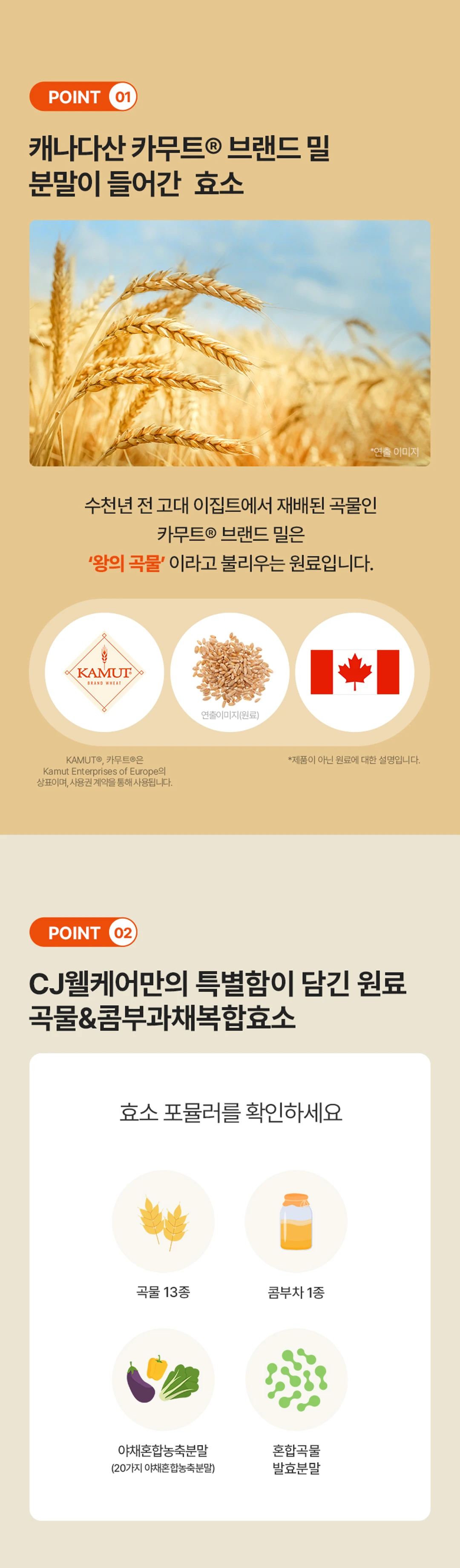 바이오코어 곡물 과채 콤부효소 2가지 포인트 — 캐나다산 카무트 브랜드 밀 분말, 곡물 13종과 콤부차 및 야채혼합농축분말 포뮬러