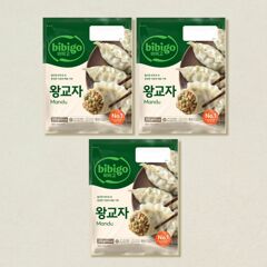 대체 텍스트