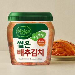 대체 텍스트