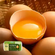 [1번란] 자유방목 동물복지 유정란 10구X2개