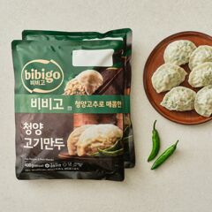 대체 텍스트