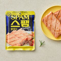 대체 텍스트