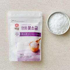 대체 텍스트