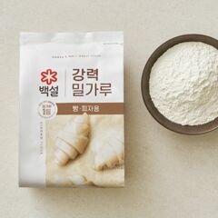 대체 텍스트