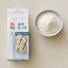 대체 텍스트