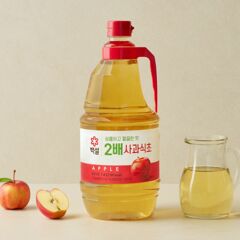 대체 텍스트