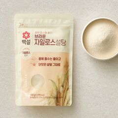 대체 텍스트