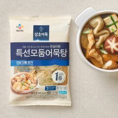 대체 텍스트
