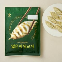 대체 텍스트