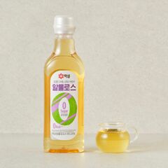 대체 텍스트