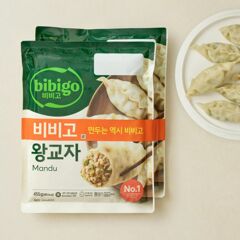 대체 텍스트