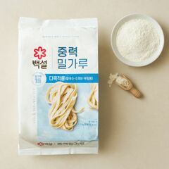 대체 텍스트