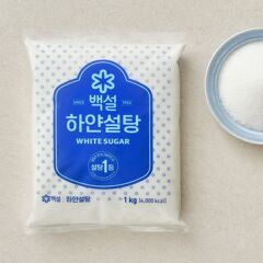 대체 텍스트