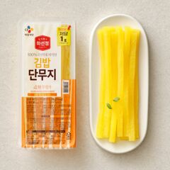 대체 텍스트