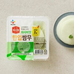 대체 텍스트