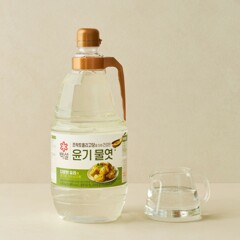 대체 텍스트