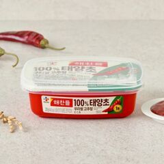 대체 텍스트