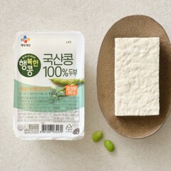 대체 텍스트