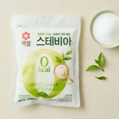 대체 텍스트