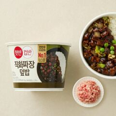 대체 텍스트