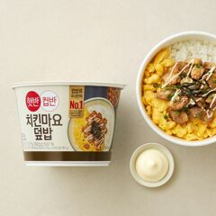 대체 텍스트