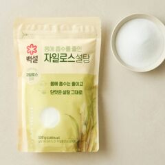 대체 텍스트
