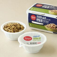 대체 텍스트