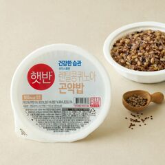 대체 텍스트