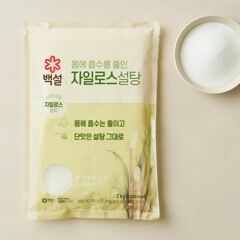 대체 텍스트