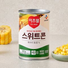 대체 텍스트
