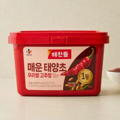 대체 텍스트