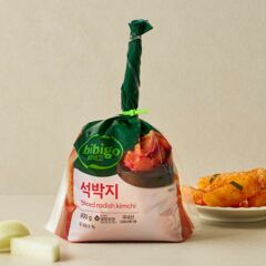 대체 텍스트