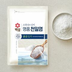대체 텍스트