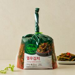 대체 텍스트