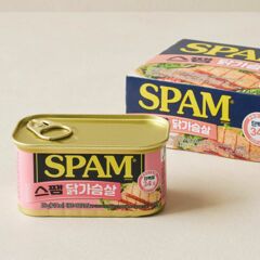 대체 텍스트