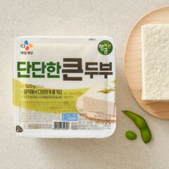 대체 텍스트