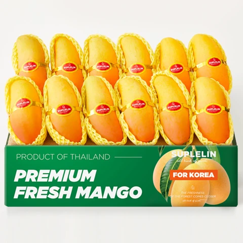 수플린 고당도 마하차녹 망고 5kg(10~18입)