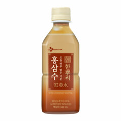 대체 텍스트