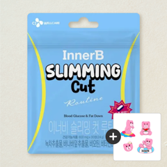 대체 텍스트